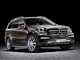 2011���GL 450 Grand Edition��������
