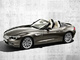 2012���Z4 sDrive28i ���Ȱ�����