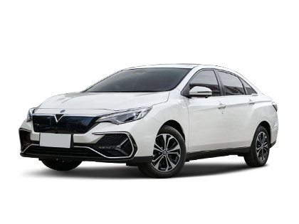 2019����m��������