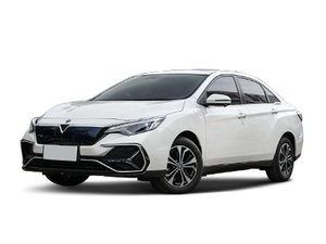 2020���D60EV 