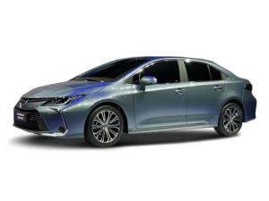 2019��_���p��E+ 