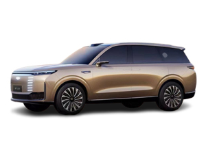 �L(f��ng)��T11�DƬ