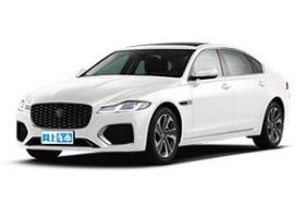 �ݱ��ݱ�XFLͼƬ