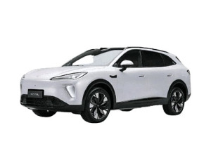 ������Ʒ���T9L