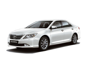 2012��P���� 