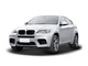 ����X6 M