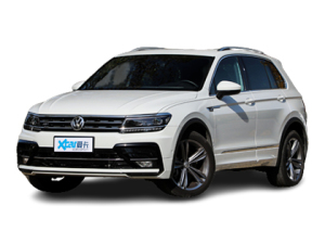 Tiguan  2018款  280TSI 两驱精英型