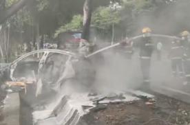 撞树！广州一特斯拉撞树后自燃 耗时约2小时扑灭火灾 车身烧成空架