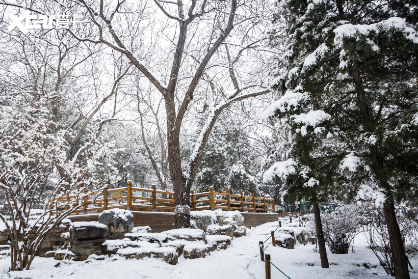 北京2020年第一场雪