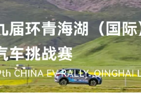 海豚、元PLUS赢了！比亚迪获环青海湖电动汽车挑战赛多项大奖！
