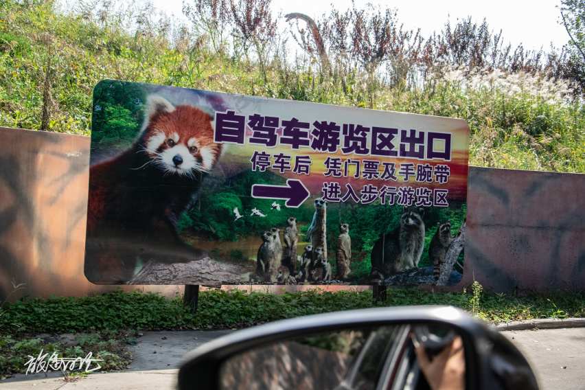 旅途日记玩转帝都北京野生动物园自驾篇