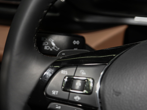 2019330TSI (q)Ş п؅^(q)