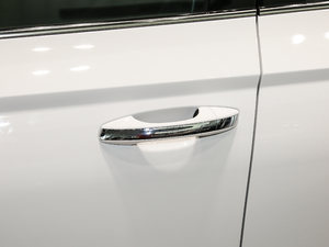 2019款280TSI 豪华版 国VI 主驾门拉手