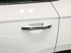 2019280TSI A VI (ji)^