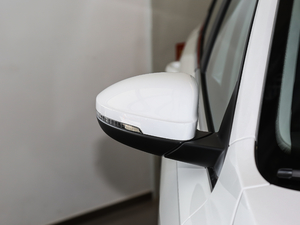 2018280TSI DSGm V (ji)^