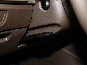 2019330TSI F (gu)V g