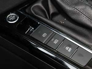 2019380TSI F VI v܇Ƅ