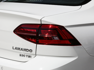 2019230TSI DSGLа V ^