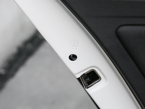 2019230TSI DSGL(fng)а (gu)V g