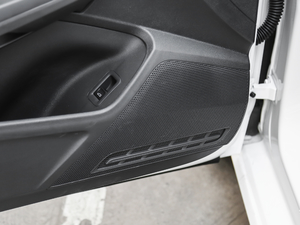 2019230TSI DSGL(fng)а (gu)V g