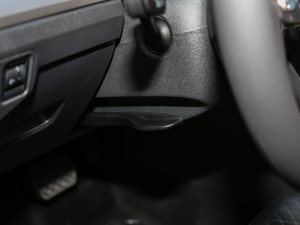 2019230TSI DSGL(fng)а (gu)V g