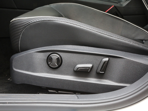 2019280TSI DSGA (gu)V g