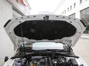 2019款280TSI DSG豪华版 国V 其它