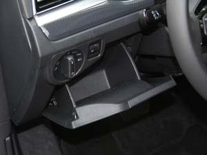 2019280TSI DSGA (gu)V g