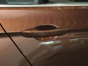 2019280TSI DSGm VI (ji)^