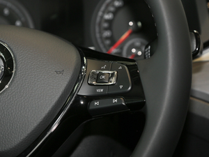 2019280TSI DSGm VI {