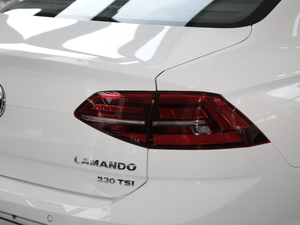 2019230TSI DSGҕҰ VI ^