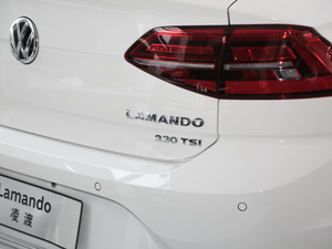 2019230TSI DSGҕҰ VI ^