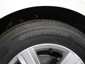 2019230TSI DSGҕҰ (gu)VI (x)(ji)^