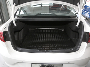 2019230TSI DSGҕҰ VI g