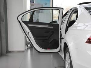 2019款230TSI DSG视野版 国VI 左后车门
