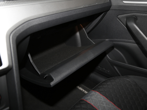 2019230TSI DSGҕҰ VI 