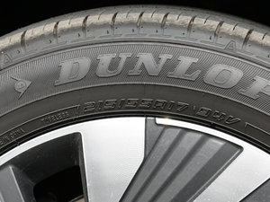 2019430PHEV ӺA ݆̥ߴ