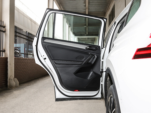 2019款380TSI 四驱智动豪华版 左后车门