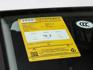 2019款380TSI 四驱智动豪华版 工信部油耗标示