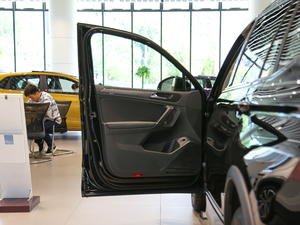 2019款330TSI 旗舰版 R-Line 驾驶位车门