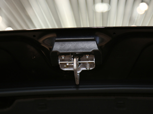 2019款330TSI 旗舰版 R-Line 其它