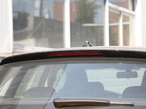 2019Plus 1.5L ԄBeats ^