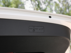 2019Plus 1.5L Ԅȫ g