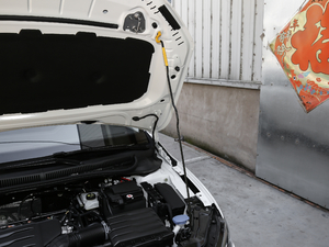 2019Plus 1.5L Ԅ(dng)ȫ(l) 