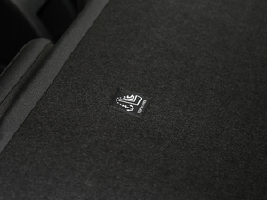 2019Plus 1.5L քȫ g