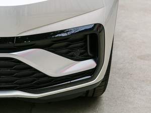 2019款380TSI 四驱尊崇豪华版 前雾灯