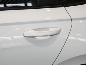 2019200TSI DSGL(fng)а VI (x)(ji)^