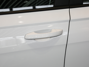 2019200TSI DSGL(fng)а VI {T