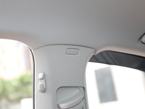 2019280TSI DSGA (gu)VI g