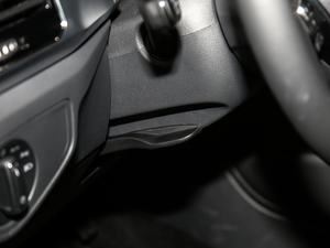 2020Ŀ 380TSI (q)A g